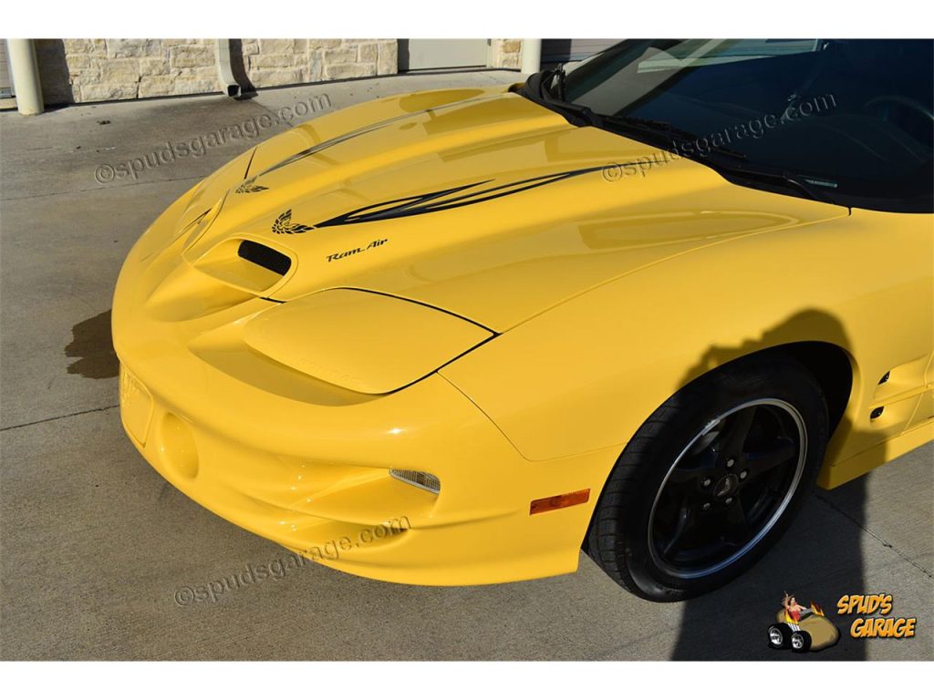 2002 Pontiac Firebird Trans Am WS6 - American Hot Rods